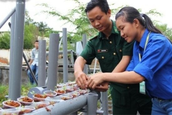 Mô hình trồng rau sạch cực kool của nữ sinh Nông Lâm